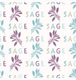 sacred smudging sage leaf seamless pattern vector image