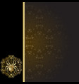 frame with spider vector image