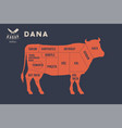 meat cuts poster butcher diagram - dana vector image vector image
