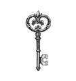 dotwork ancient key vector image vector image