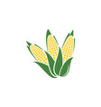agriculture corn icon design vector image