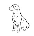 labrador black and white outline vector image