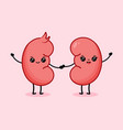 cute cartoon couple happy kidneys character vector image vector image