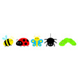 ladybug ladybird spider bee bumblebee butterfly vector image vector image