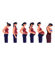 pregnant woman or pregnancy period banner vector image vector image
