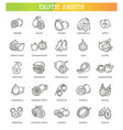 fruits exotic vegetarian - flat icon set vector image