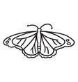 butterfly stroke top view vector image