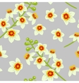 frankincense flower seamless pattern vector image