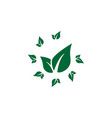 leaf icon design template isolated vector image