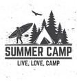 summer camp concept vector image vector image