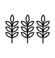 wheat ears line style icon design vector image vector image