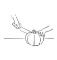 close up hands cutting pumpkin with knife drawing vector image