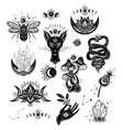 mystical and esoteric elements magic witchcraft vector image