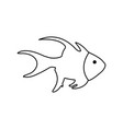 sea fish seal cardinal vector image