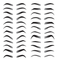set of women eyebrows for beauty concept vector image vector image