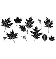 nature silhouette isolated vector image