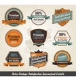 vintage styled premium quality vector image vector image