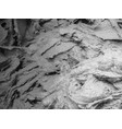 mixed cement mortar texture vector image vector image