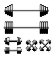 set barbell and dumbbells isolated on white vector image