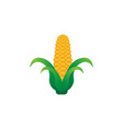 agriculture corn icon design vector image vector image