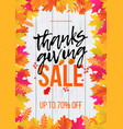 thanksgiving sale poster autumn promo discount vector image