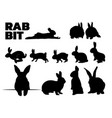 rabbit silhouette set vector image