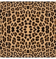 leopard print pattern skin vector image