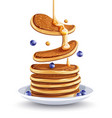 pancakes with blueberries vector image vector image