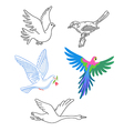 birds set linear silhouette vector image vector image