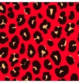 leopard print pattern skin vector image