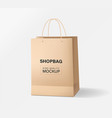 paper bag packaging mockups vector image vector image