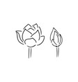 doodle flower lotus set icon isolated on white vector image