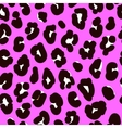leopard print pattern skin vector image