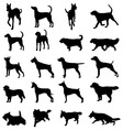 dogs 2 vector image