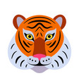 tiger face background graphic design vector image vector image