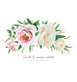 floral bouquet with pink peony white rose flowers vector image