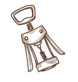 winemaking industry corkscrew or bottle opener vector image