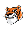 tiger head vector image