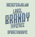 vintage label typeface vector image vector image