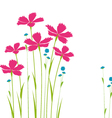 decoration flowers on a white background vector image