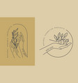 female hands with leaves emblem for spa beauty vector image vector image