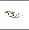 light and simple olive oil logo with lettering vector image