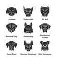 dogs breeds glyph icons set vector image vector image