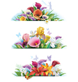set banners with flowers vector image vector image
