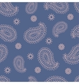 paisley ornament seamless pattern blue and pink vector image