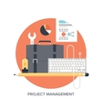 project management vector image