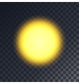 yellow sun vector image vector image