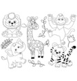 safari animals vector image