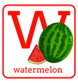 an alphabet with cute fruits letter w watermelon vector image