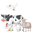 farm animals on white background vector image